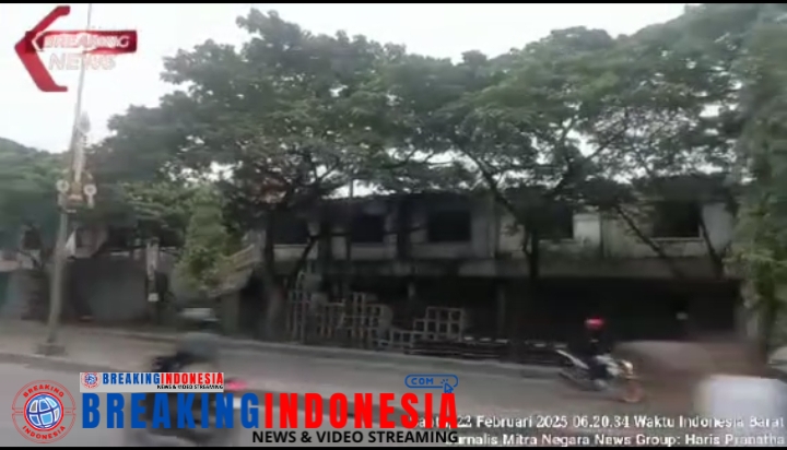 Pohon Angsana di Jalan Raya Pantura Kalijaga Perlu Perhatian Dinas Lingkungan Hidup