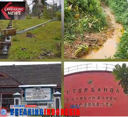 Pimpinan PT.TORGAMBA Klarifikasi Terkait Viralnya Berita CPO