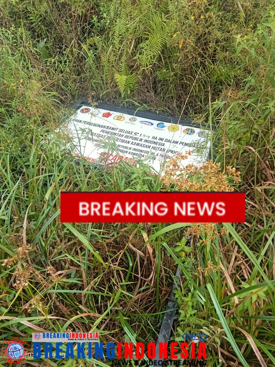 Resplang Satgas Penertiban Kawasan Hutan di PT.BSP Sumut Il Tumbang Diduga Dilakukan Oknum Tidak Bertanggung Jawab