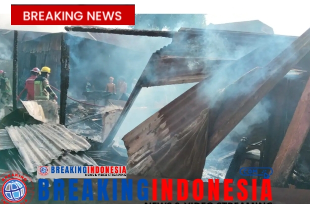Sijago Merah Melalap Perumahan di Medan Denai