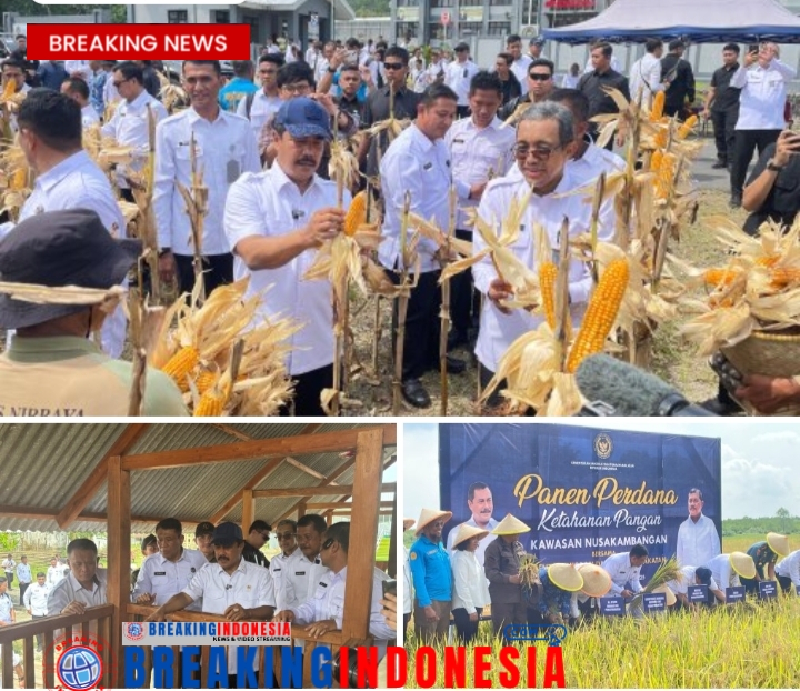 Nusakambangan Panen Perdana Bangun Lumbung Ketahanan Pangan dan Beri Kesempatan Warga Binaan
