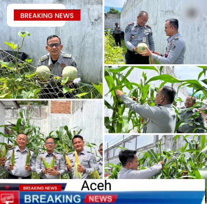 Lapas Idi Panen Jagung dan Melon Wujud Nyata Dukung Program Ketahanan Pangan Nasional