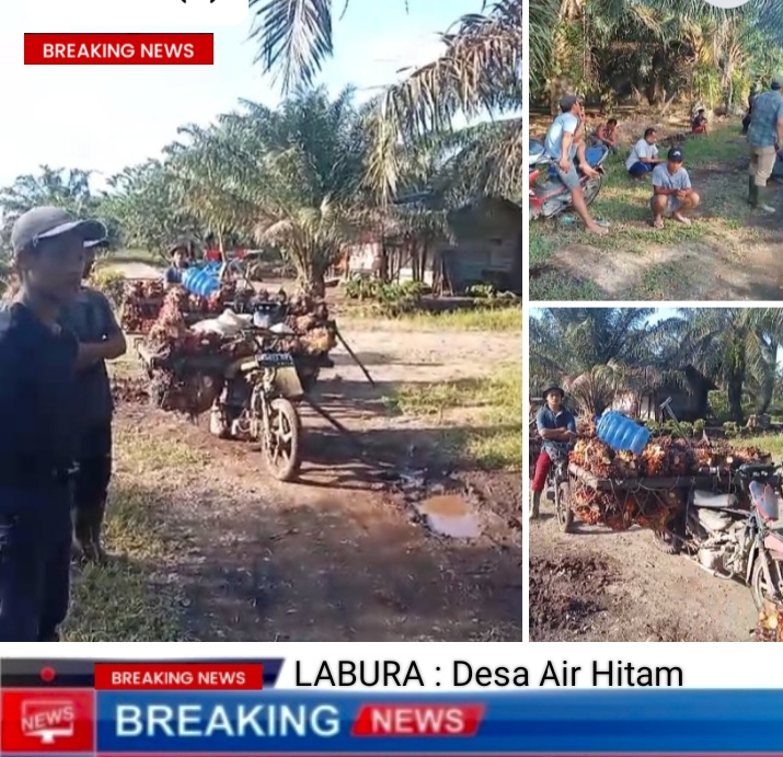Anggota KTH KPLS Halangi Hasil Pertanian Masyarakat