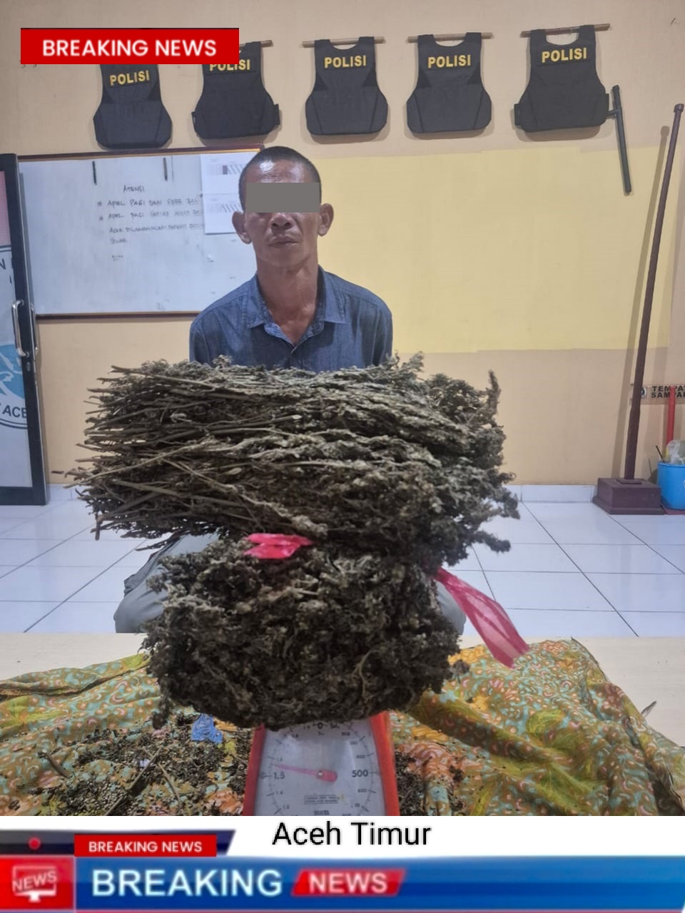 Satresnarkoba Polres Aceh Timur Berhasil Gagalkan Upaya Peredaran Narkoba Jenis Ganja