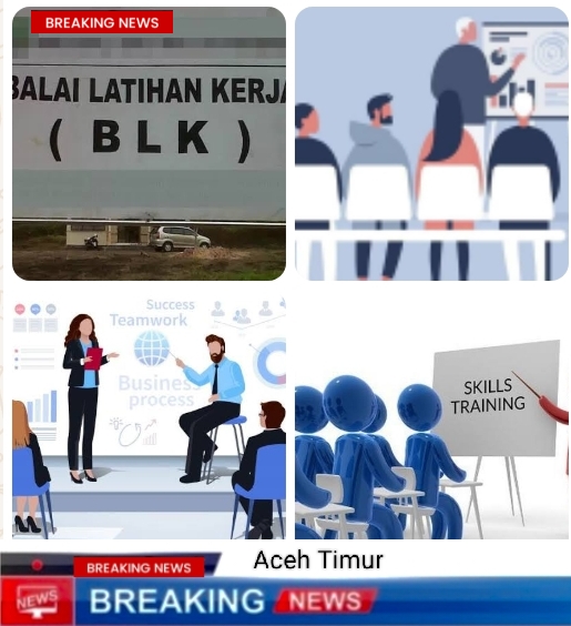 Diduga Kegiatan BLK Aceh Timur Tidak Kunjung Terlaksana Ada Apa? Ini Tanggapan Ketua APDESI Aceh Timur