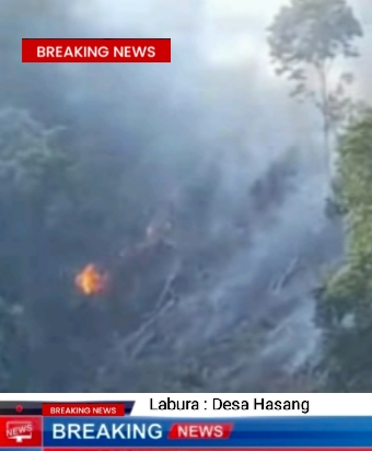 Tim Media Labura Temukan Adanya Kebakaran di Hutan Desa Hasang Diduga Hutan Lindung