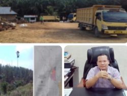 Satgas Inti Prabowo Kecam Perusahaan Perusak Hutan, Desak Negara Bertindak Tegas