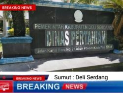 Ketahanan Pangan Diambang Kegagalan, Publik  Tagih Ketegasan Bupati  Asriludin