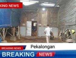 Diperkosa dan Diancam Pelaku, Ibu dan Anak Ngungsi di Kandang Ayam