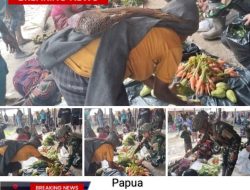 Satgas Yonif 700/WYC Borong Hasil Petani Warga Gigobak