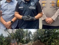 Polda Sumut Bakar Narkoba, Loket Transaksi Dibongkar