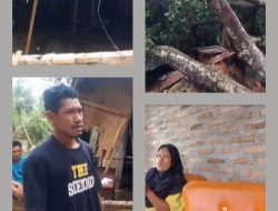 Angin Puting Beliung Robohkan Rumah Warga Desa Sarang Terap, Dusun III Jati Rejo Dolok Manampang
