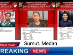 Polisi Buru Jaringan Narkoba di Sumut,Ardinal ,Heriana dan Gempar Selamat