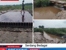 Pembangunan Jembatan Alternatif untuk Petani Desa Pardomuan