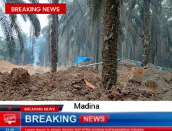 Tambang Emas Ilegal Dusun Batang Lobung Lingga Bayu Diduga Kebal Hukum
