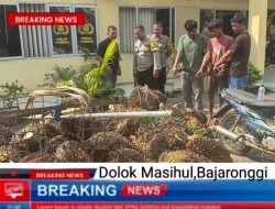 Aksi Pencurian Buah Sawit Merajalela di Dolok Masihul, Polisi Harus Bertindak Tegas
