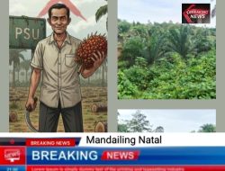 Bulania Halawa di Ujung Tanduk, Dugaan Penyerobotan Lahan PT.PSU Menguat