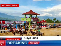 Pacuan Kuda Tradisional Gayo Lues Siap Digelar, Meriahkan HUT RI ke 80 di Buntul Nege