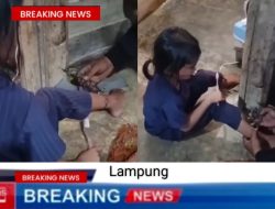 Bocah 6 Tahun di Ikat dan Dirantai Orang Tua di Tiang Kayu