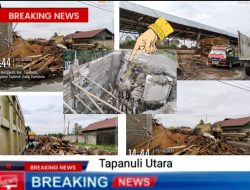 Izin Usaha Ilegal dan Pengusaha Kayu di  Sipahutar Arogansi