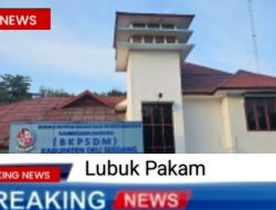 Pelantikan 4000 PPPK Paruh Waktu Resmi Ditunda,BKPSDM : Sabar, Proses Tetap Berlanjut