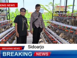 Bhabinkamtibmas Sidodadi Sabangi Peternakan Ayam Petelur, Tingkatkan Ketahanan Pangan