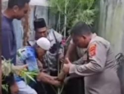 Polsek Dolok Masihul Tangkap 3 Kuli Bangunan , Tanaman Ganja Penyebabnya
