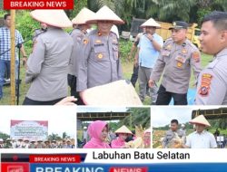 Dukung Ketahanan Pangan Nasional Polres Labusel Gelar Panen Raya Jagung Serentak Kuartal 1 2026