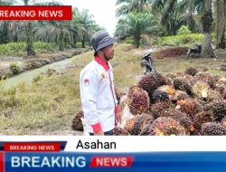 Pimpinan Redaksi Media online Turun ke Lokasi Pertanian Kawasan