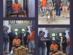 Polres Labuanbatu Selatan Sikat Peredaran Narkoba 26 Kg Ganja di Kota Pinang