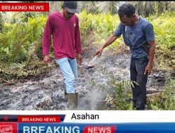 Lahan Pertanian Kelompok Tani Permata Gambut Jaya Diduga di Bakar Oknum
