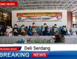 Polresta Deli Serdang Musnahkan Barang Bukti Narkoba Senilai Tujuh Miliar Lima Puluh Tujuh Juta Rupiah