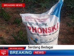 Diduga Penyelewengan Pupuk Subsidi Terus Beredar di Serdang Bedagai
