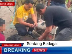 Satresnarkoba Polres Serdang Bedagai Grebek Dusun lll Kuala Lama
