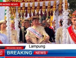 Jokowi Mendapat Gelar Adat , BAGINDA PEMUKA BANGSA ,Saat Safari Politik di Lampung