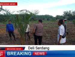 PTPN IV  REGIONAL 1, Sei Putih Beri Tanggapan Terkait Berita Yang Beredar Negatif