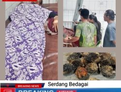 Diduga Mencuri Buah Kelapa Sawit Babak Belur Dihajar Security Perusahaan