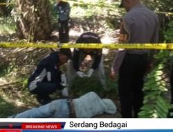 Masyarakat Dikejutkan Dengan Penemuan Sosok Mayat Laki-laki di Perkebunan Kelapa Sawit