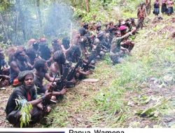 Mayor Ebarowak Gwijangge : Kami Siap Perang di Kota Wamena di Hut RI ke 81 .