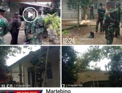 Dua lokal Sekolah SMP di Martebing Rusak Tertimpa Pohon Tumbang