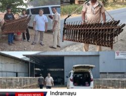 Peternak Rakyat Mandiri: HIDUP SEGAN MATI TAK MAU di Tengah Krisis Doc