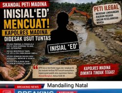 Inisial “ED’ MENCUAT DALAM SKANDAL PETI , KAPOLRES MADINA DIDESAK USUT TUNTAS